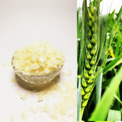 Xyliance / Ксилианс ламеллярный эмульгатор